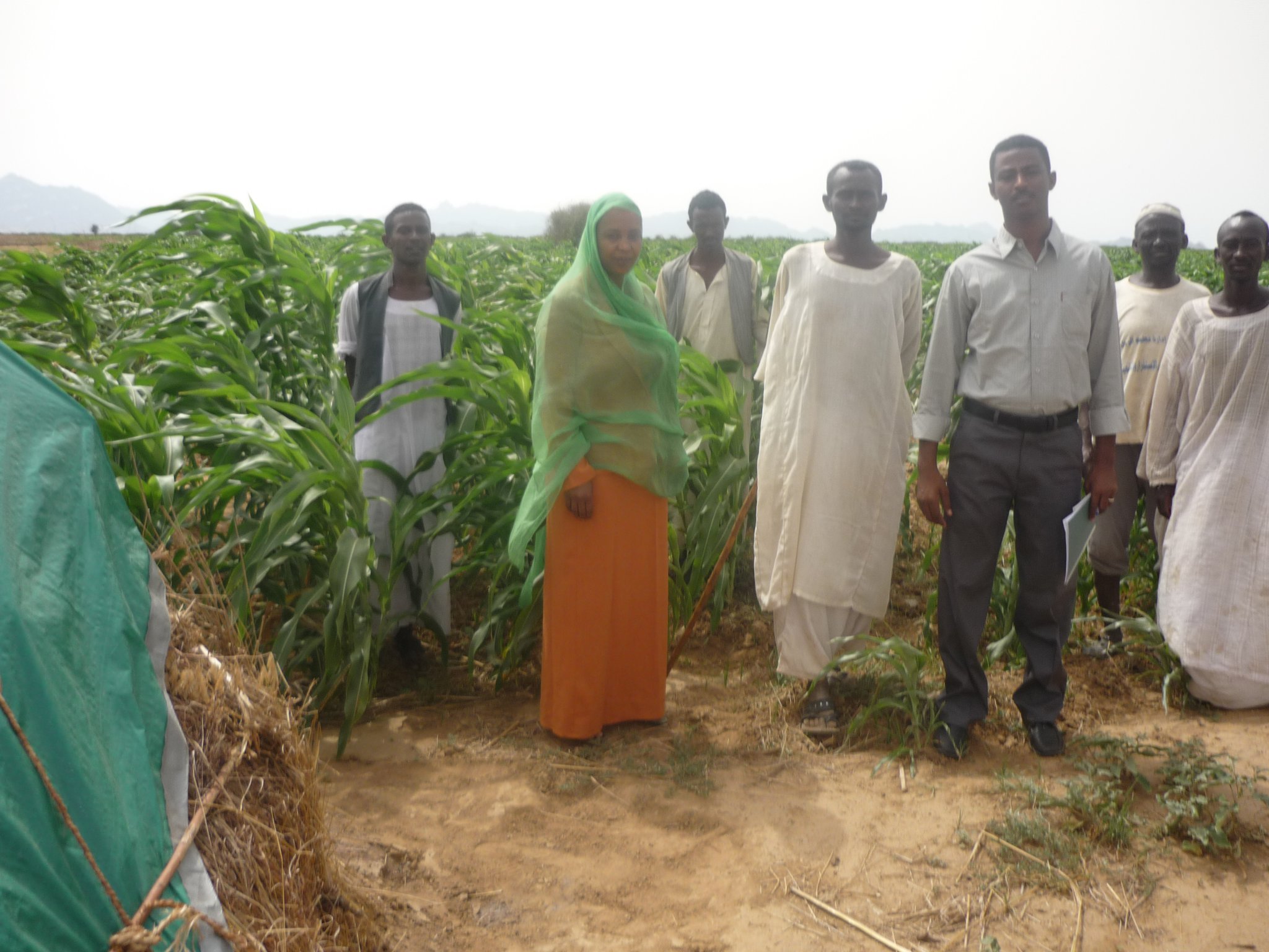 تحسين سبل المعيشة