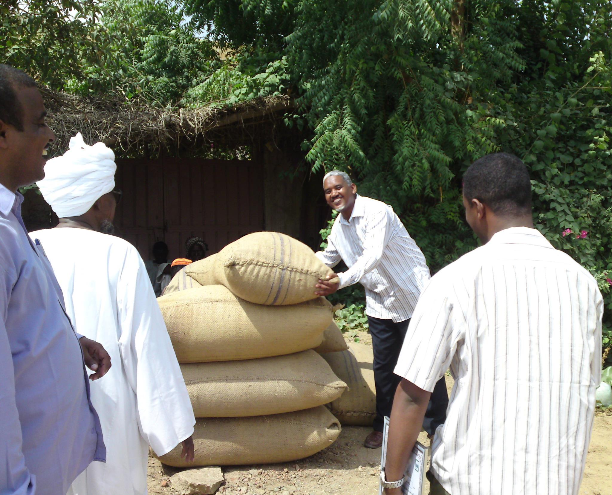 التمويل الأصغر