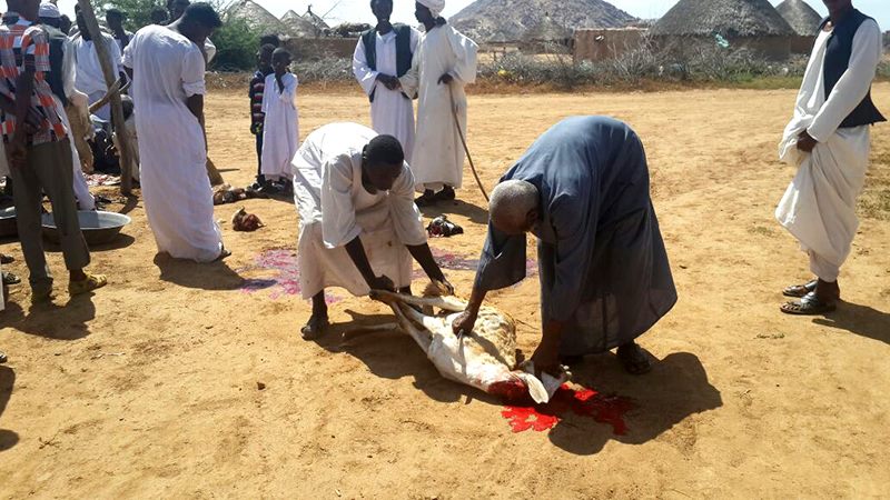 المبادرات الانسانية